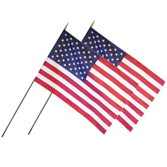 Annin & Company 24" x 36" U.S. Classroom Flag with Staff, 2ct. By Annin And Company | Michaelsยฎ